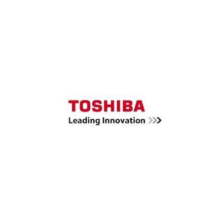 grilleToshiba