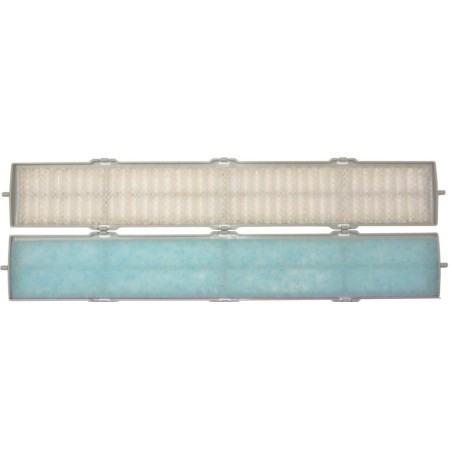 Jeu de 2 filtres climatisation réversible inverter ASYA24LCC Atlantic