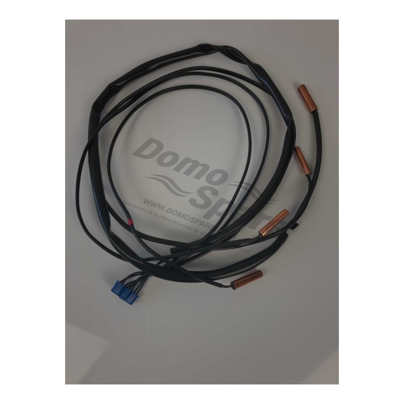 ENSEMBLE SONDE R2 R5T 3P188399 1 DAIKIN Ref: 301475P