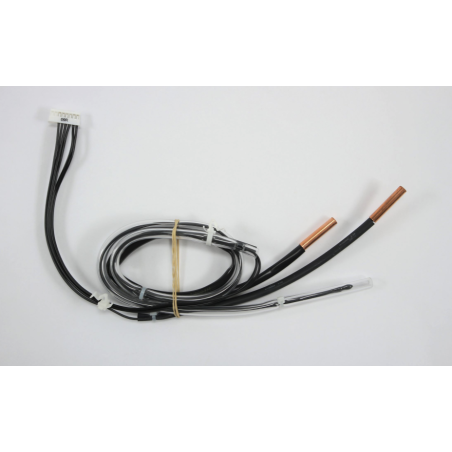 ENSEMBLE SONDE 3P317850 1 DAIKIN Ref: 5009957